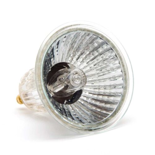 Light It Up: An Updated Guide to Efficient Lighting